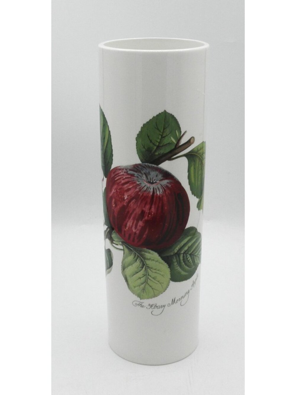 Pomona by Portmeirion Pasta Canister  Pattern Code: PRTPOM Hoary Morning Apple - Picture 4 of 14